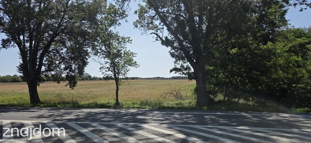 4,9 ha bezpośrednio przy DK 92, Do A2  2,5km - zdjęcie 2