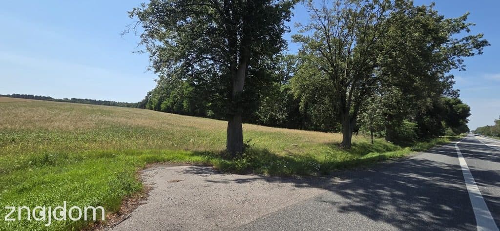 4,9 ha bezpośrednio przy DK 92, Do A2  2,5km - zdjęcie 3