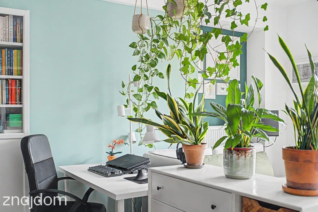 49,90 m² z dużą garderobą | Balkon | Garaż | Las - zdjęcie 5