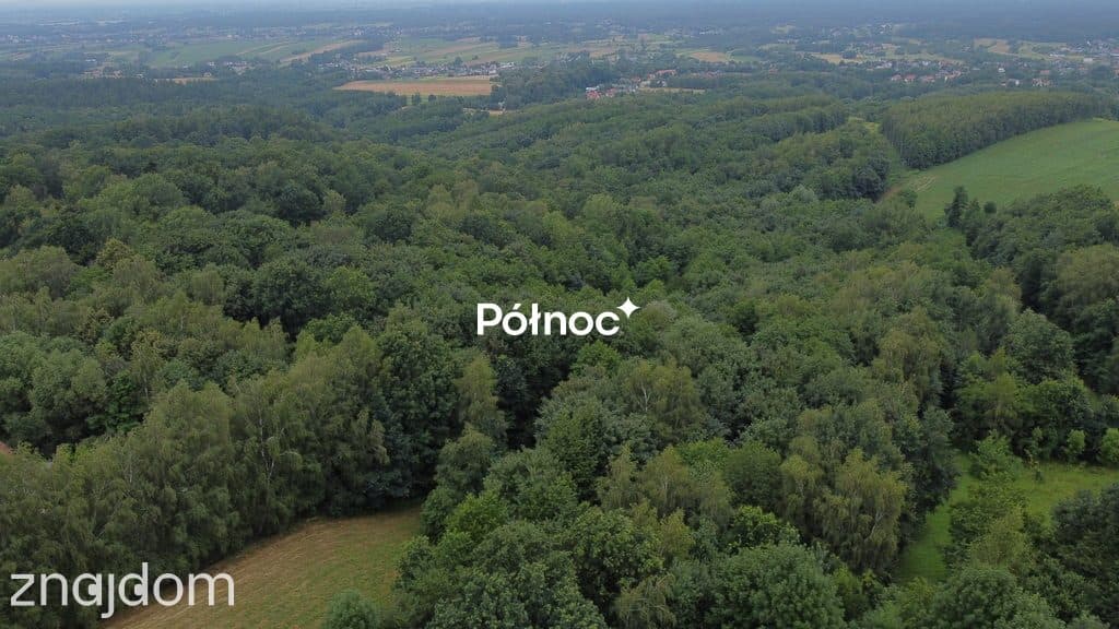 działka z wz – Jasień, ul. Wiśnicka, 85 arów - zdjęcie 7