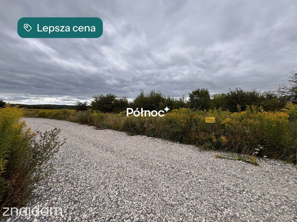 Cikowice działka przemysłowa 27arów - zdjęcie 5