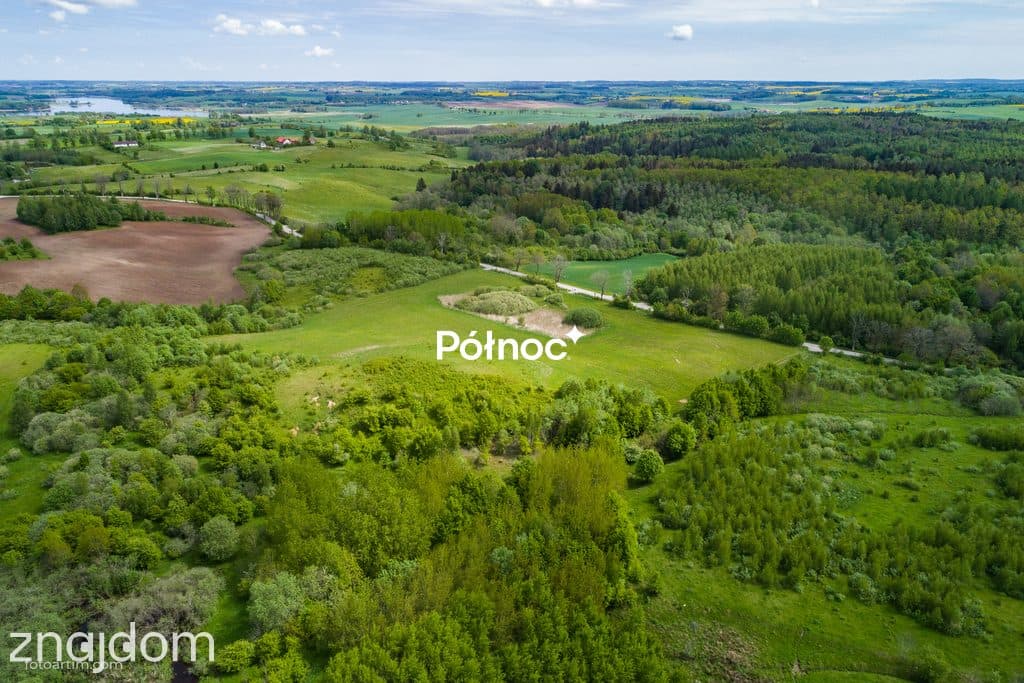 Działka rolna 3,32 HA - zdjęcie 3