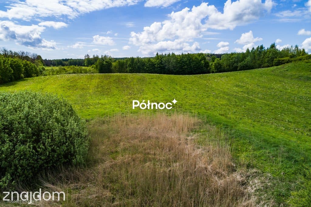 Działka rolna 3,32 HA - zdjęcie 8