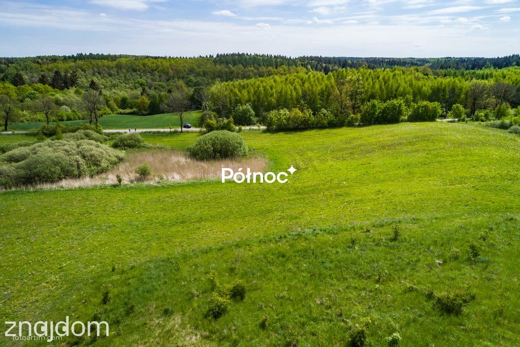 Działka rolna 3,32 HA - zdjęcie 9