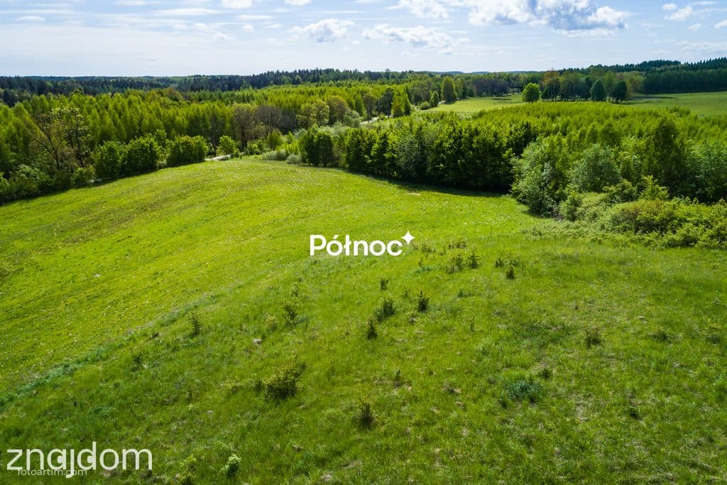Działka rolna 3,32 HA - zdjęcie 10