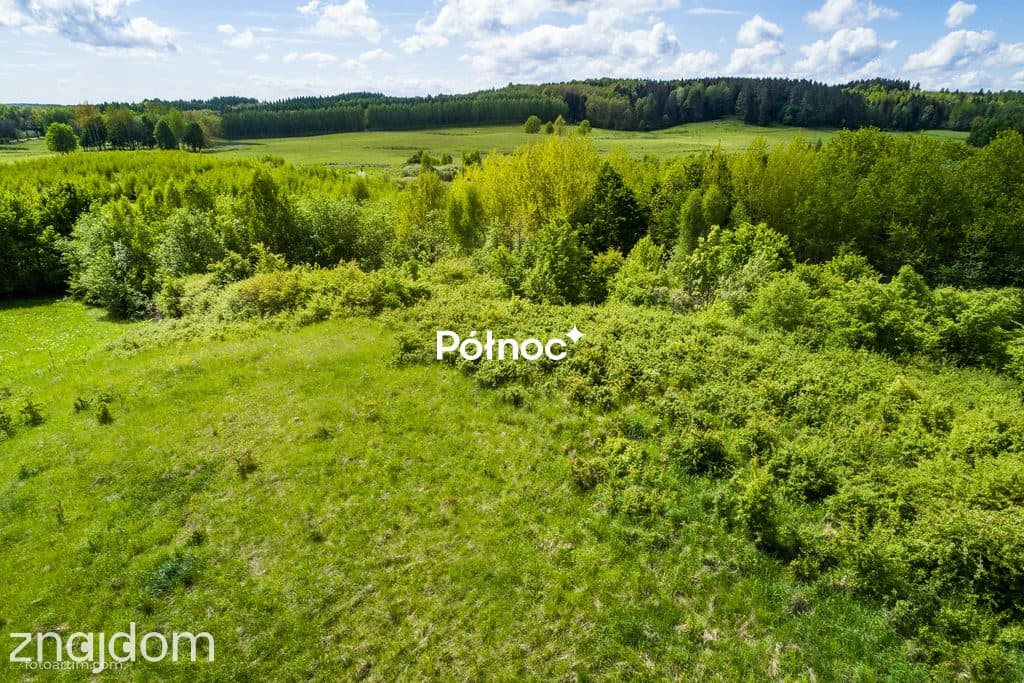 Działka rolna 3,32 HA - zdjęcie 11