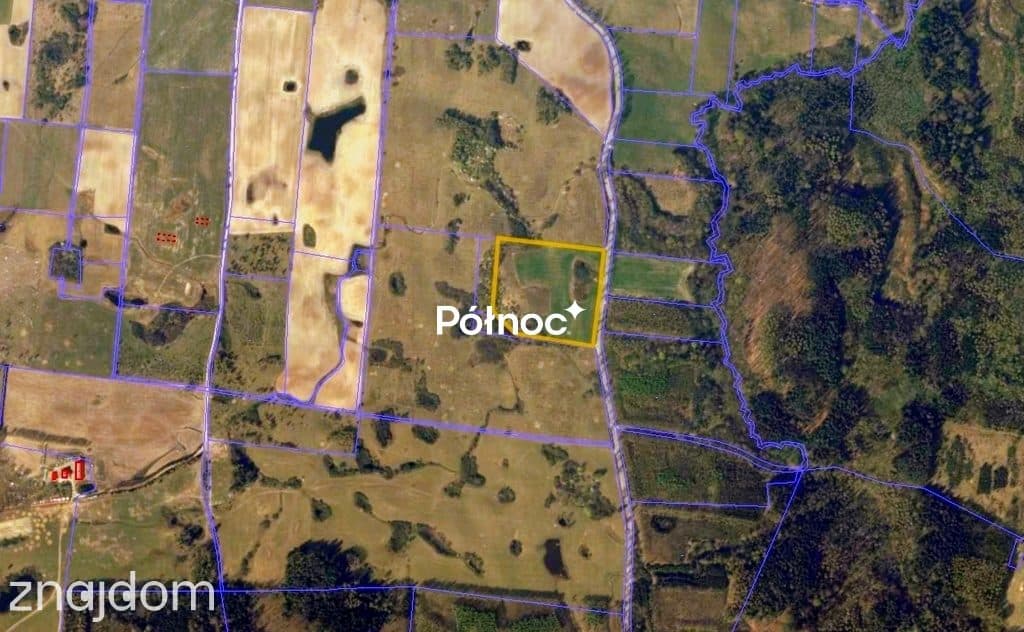 Działka rolna 3,32 HA - zdjęcie 13