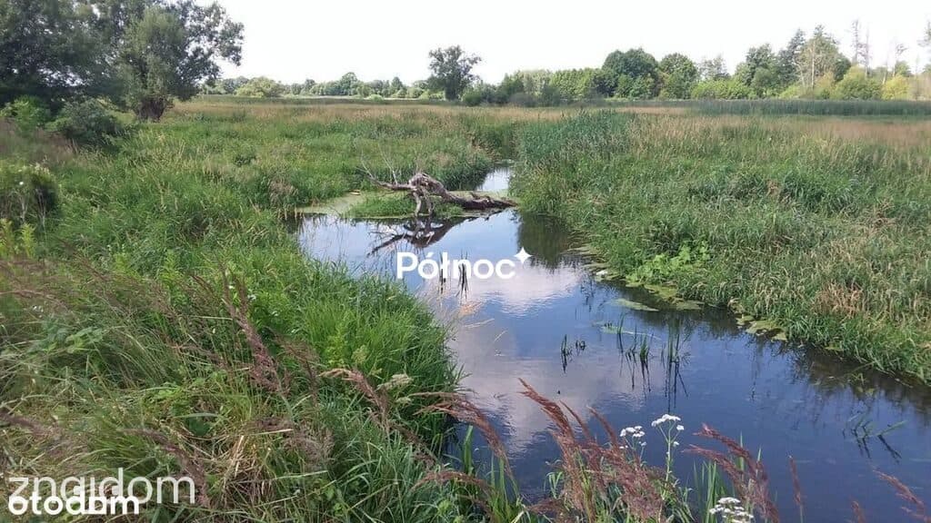 Działki budowlane nad rzeką Kostrzyń | Kępa - zdjęcie 3
