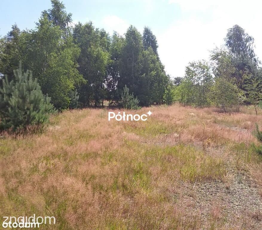 Działki budowlane nad rzeką Kostrzyń | Kępa - zdjęcie 5
