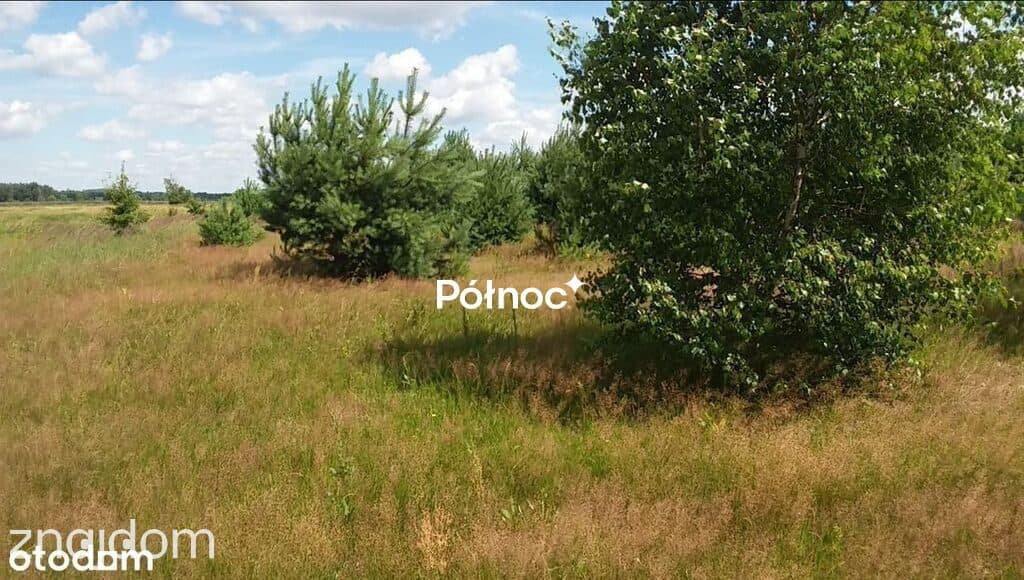 Działki budowlane nad rzeką Kostrzyń | Kępa - zdjęcie 6