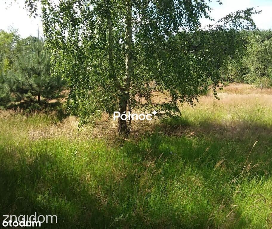 Działki budowlane nad rzeką Kostrzyń | Kępa - zdjęcie 7