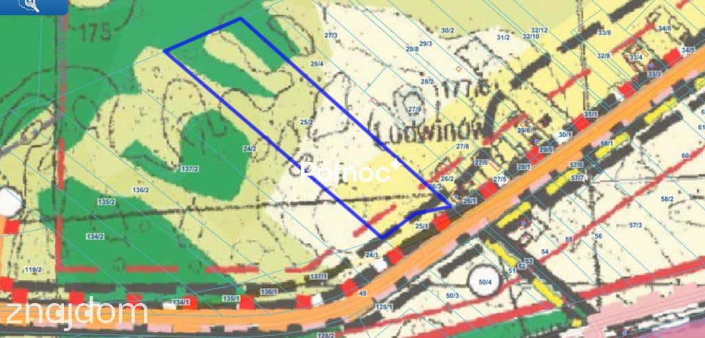 Atrakcyjna działka 22 211 m² – Ludwinów - zdjęcie 4