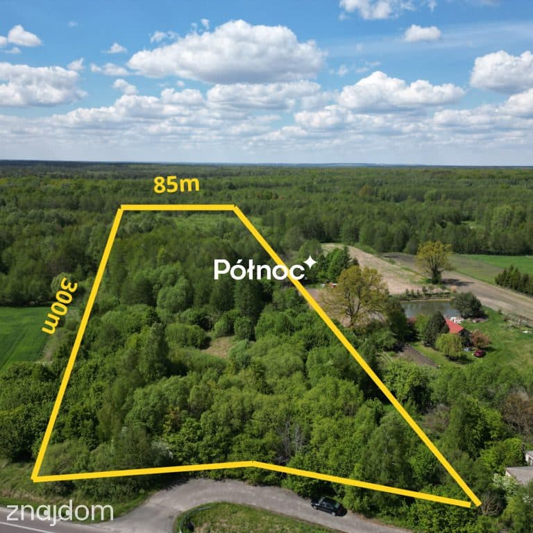 Atrakcyjna działka 22 211 m² – Ludwinów - zdjęcie 3