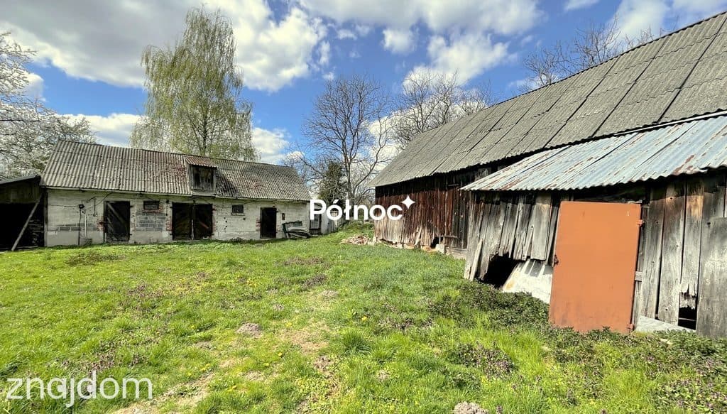 Malownicze siedlisko przy lesie | Jarosławiec - zdjęcie 20
