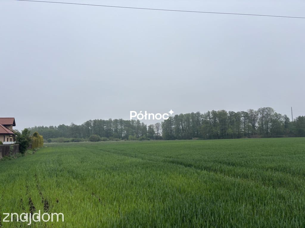 Działka budowlana 1000 m² – Tyniec Mały – 495 zł/ - zdjęcie 2