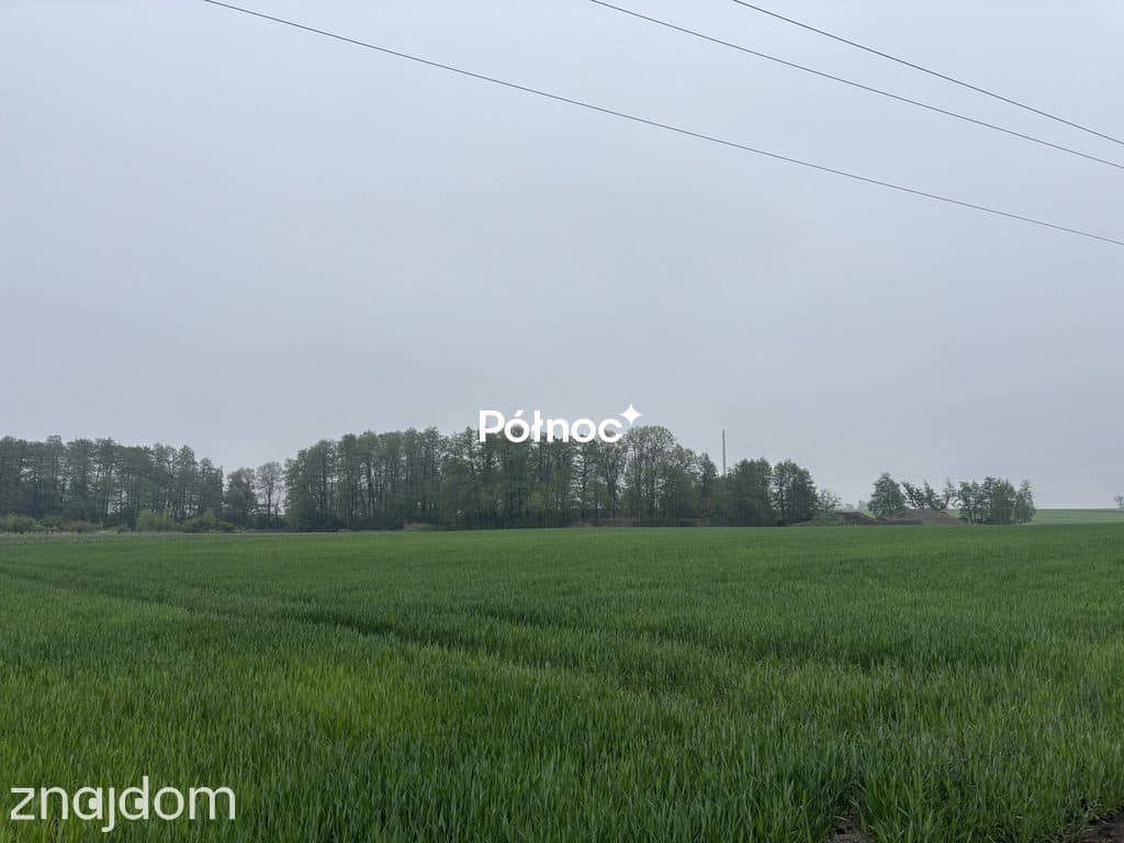 Działka budowlana 1000 m² – Tyniec Mały – 495 zł/ - zdjęcie 4