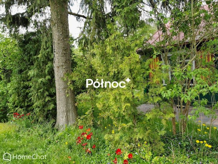 Drewniany dom z sauną | Starorzecze Bugu