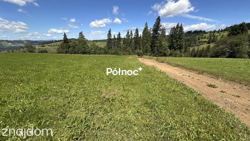 Działka rolna widokowa | Rzepiska - zdjęcie 5