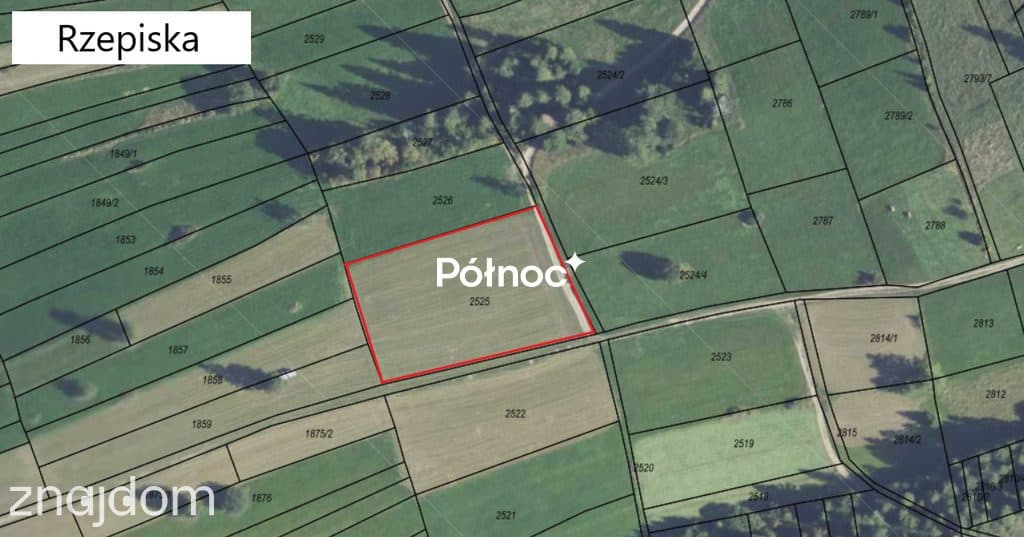 Działka rolna widokowa | Rzepiska - zdjęcie 6