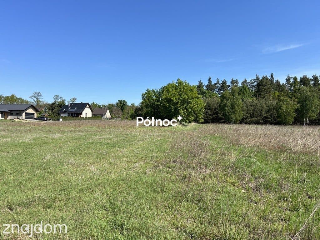 DZIAŁKI PRZY LESIE - zdjęcie 8