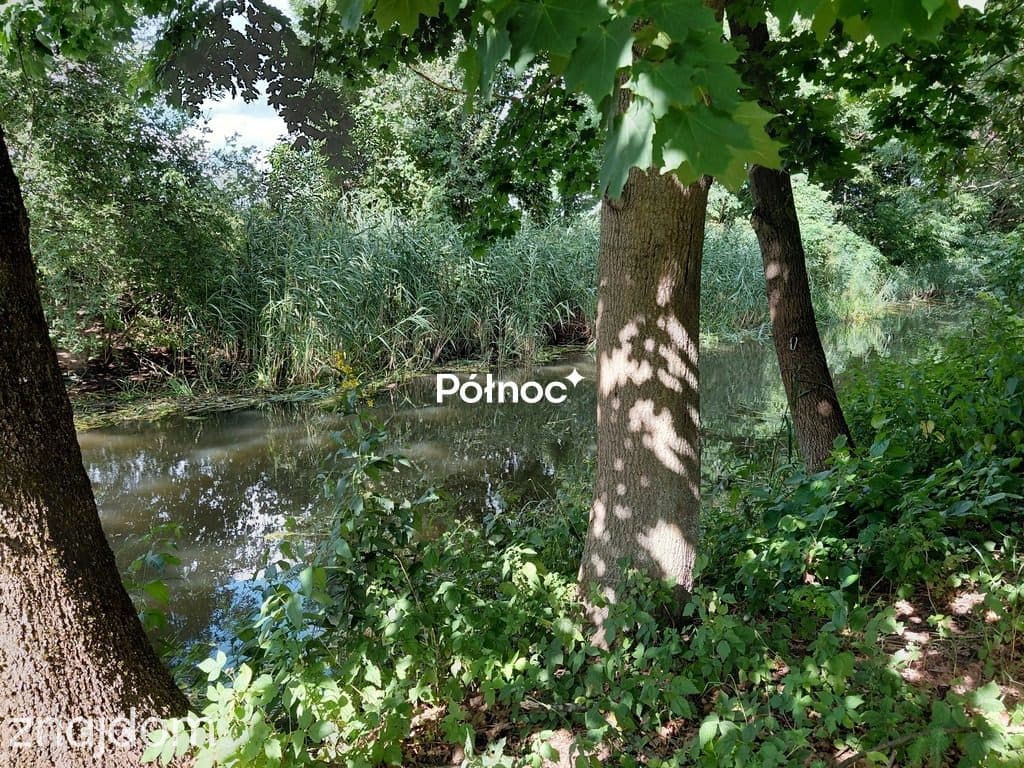 Działka budowlana/nad rzeką/Dolina Baryczy/Łąki - zdjęcie 11