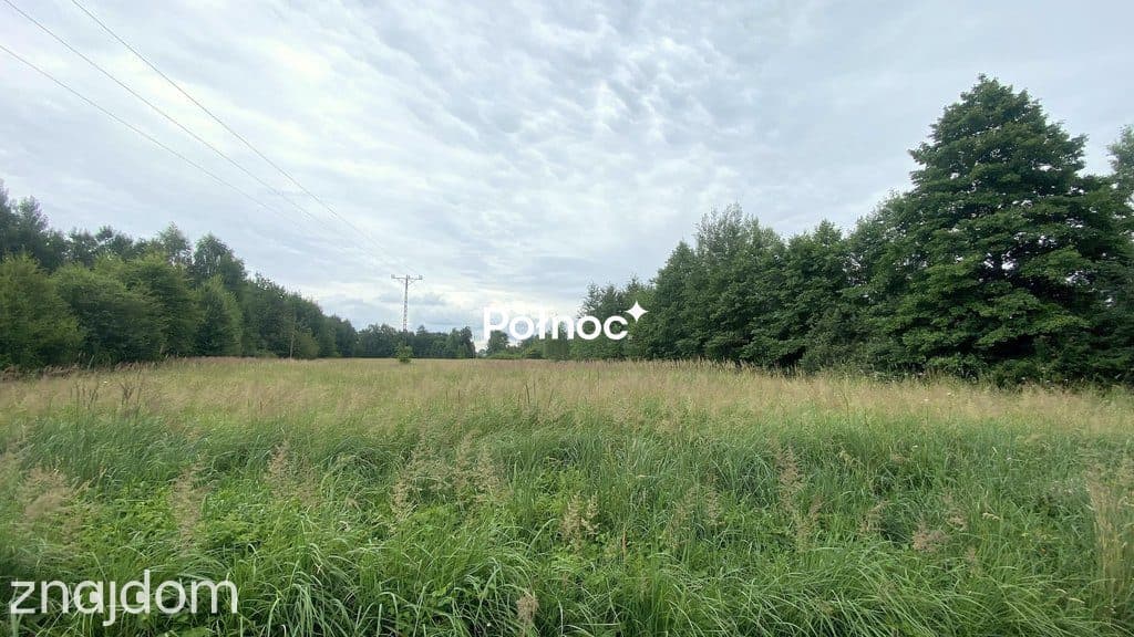 Działka rolno-budowlana 2000m² w pięknej okolicy! - zdjęcie 3