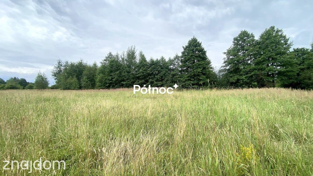 Działka rolno-budowlana 2000m² w pięknej okolicy! - zdjęcie 4