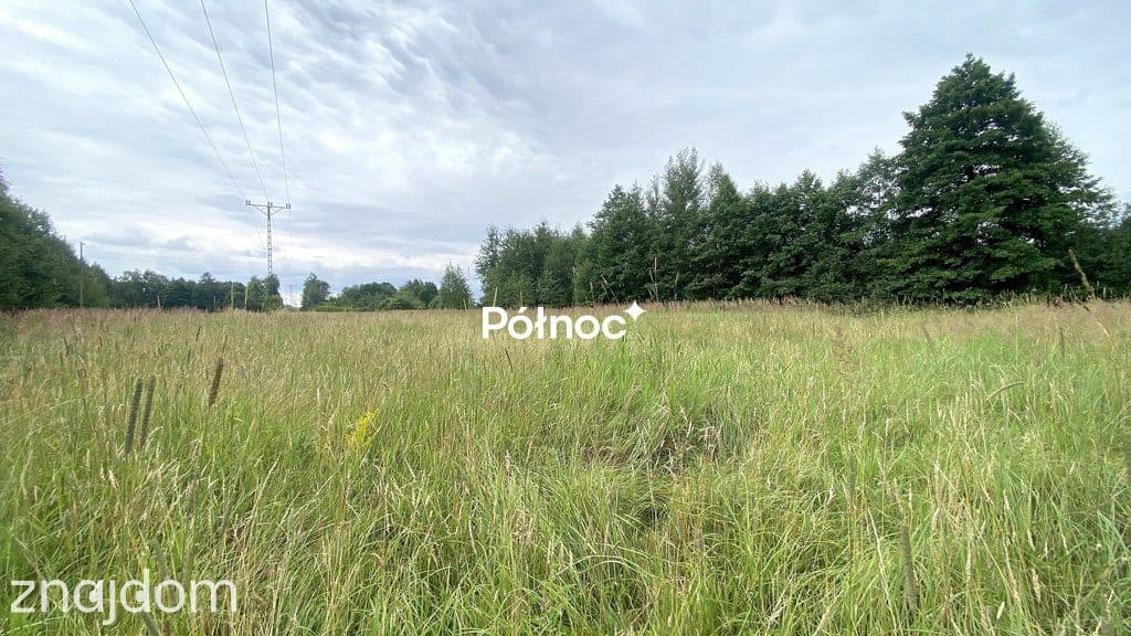 Działka rolno-budowlana 2000m² w pięknej okolicy! - zdjęcie 5