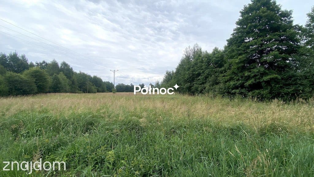 Działka rolno-budowlana 2000m² w pięknej okolicy! - zdjęcie 6