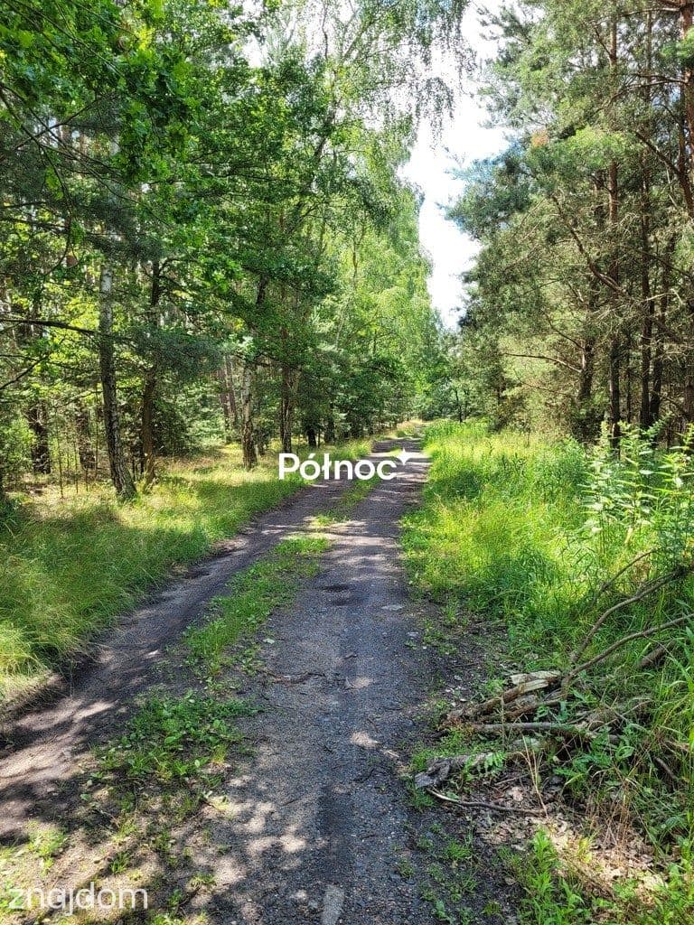 Działka 2000 m2 Kuźniczysko - zdjęcie 5