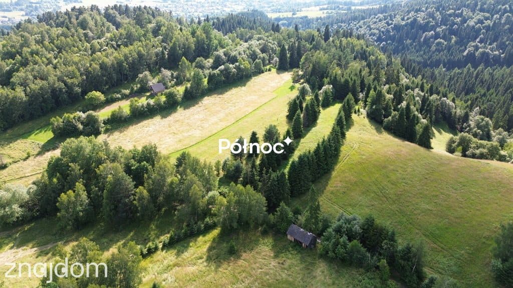 Działka rolno-leśna Łopuszna - zdjęcie 2