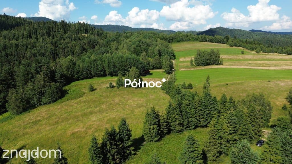 Działka rolno-leśna Łopuszna - zdjęcie 3