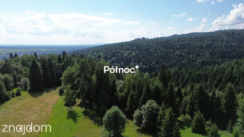 Działka rolno-leśna Łopuszna - zdjęcie 4