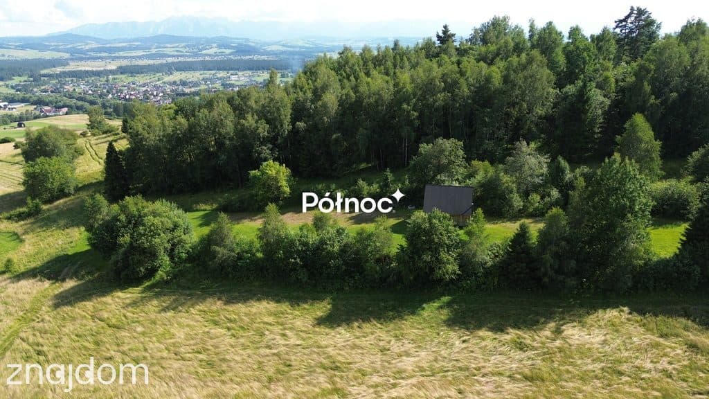 Działka rolno-leśna Łopuszna - zdjęcie 6