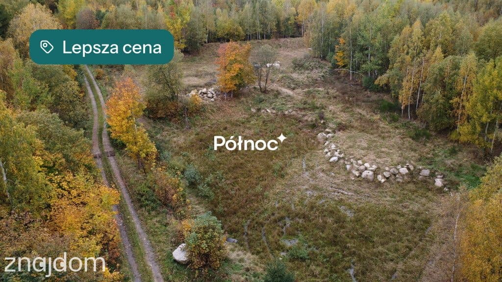 Malownicza działka w Piastowie z miejscem na staw! - zdjęcie 2