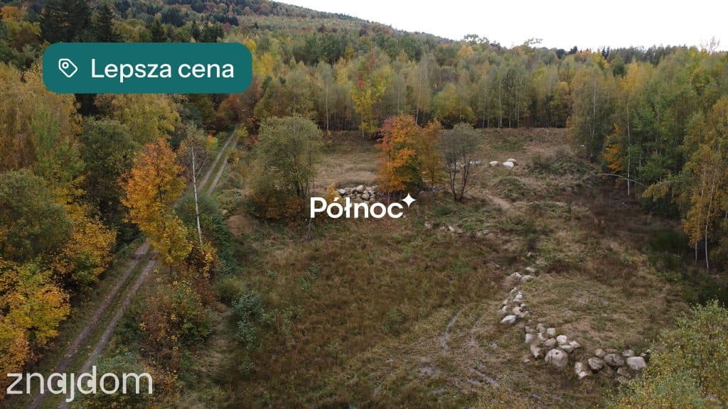 Malownicza działka w Piastowie z miejscem na staw! - zdjęcie 3