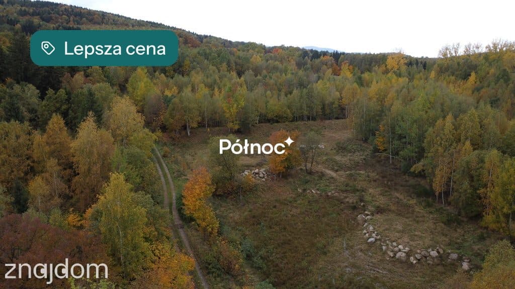 Malownicza działka w Piastowie z miejscem na staw!