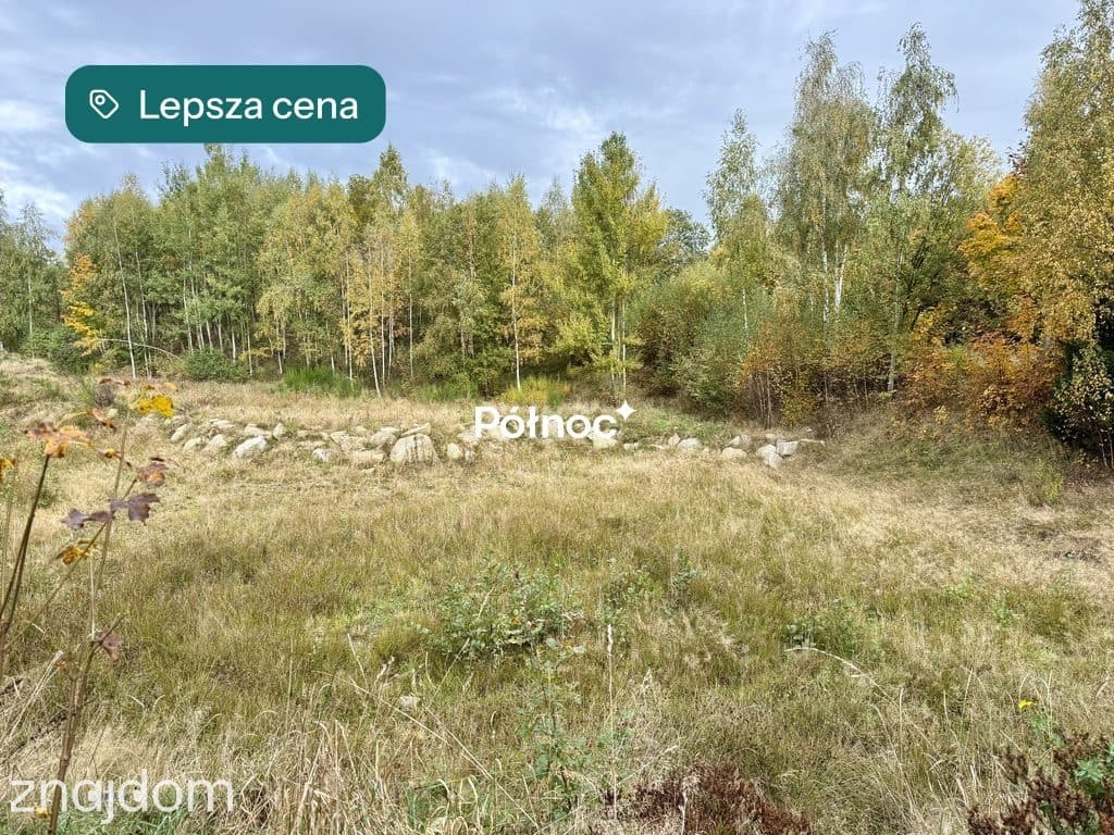 Malownicza działka w Piastowie z miejscem na staw! - zdjęcie 9