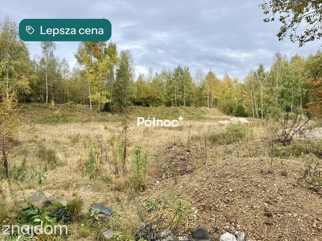 Malownicza działka w Piastowie z miejscem na staw! - zdjęcie 10