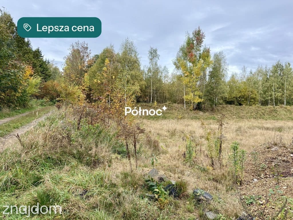 Malownicza działka w Piastowie z miejscem na staw! - zdjęcie 11