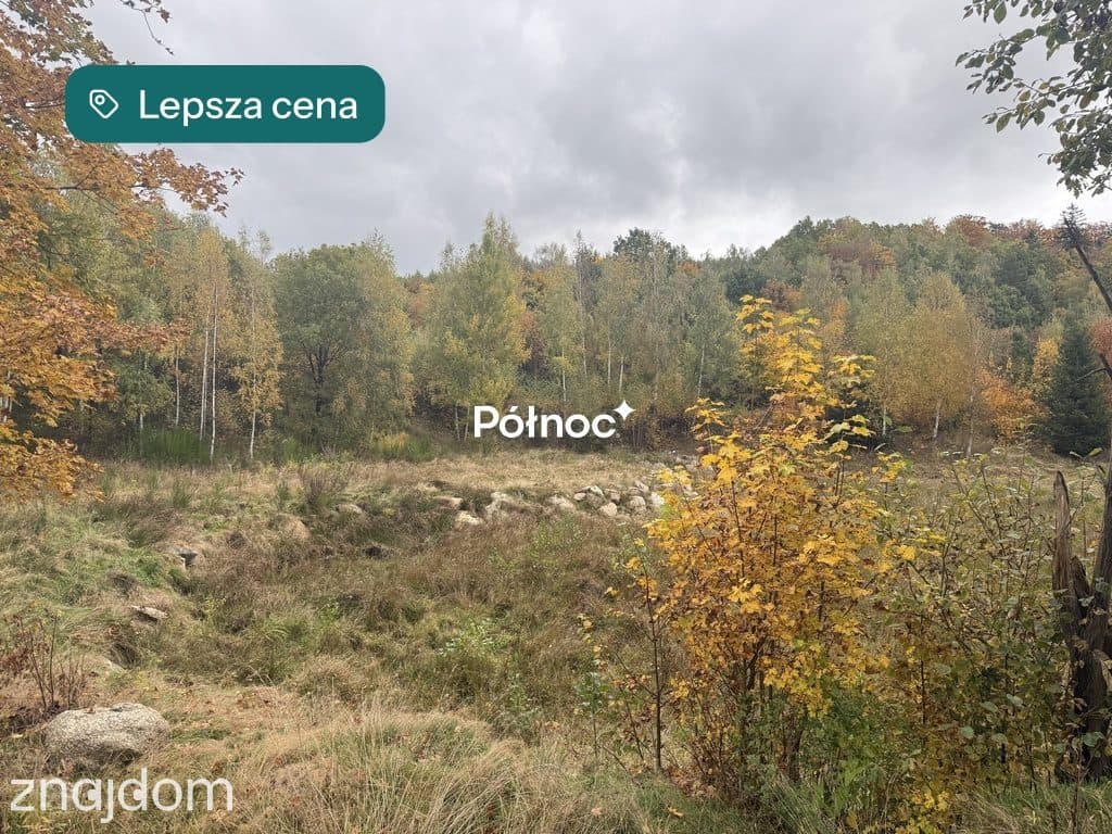 Malownicza działka w Piastowie z miejscem na staw! - zdjęcie 12