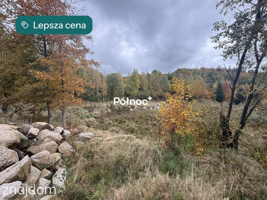 Malownicza działka w Piastowie z miejscem na staw! - zdjęcie 13