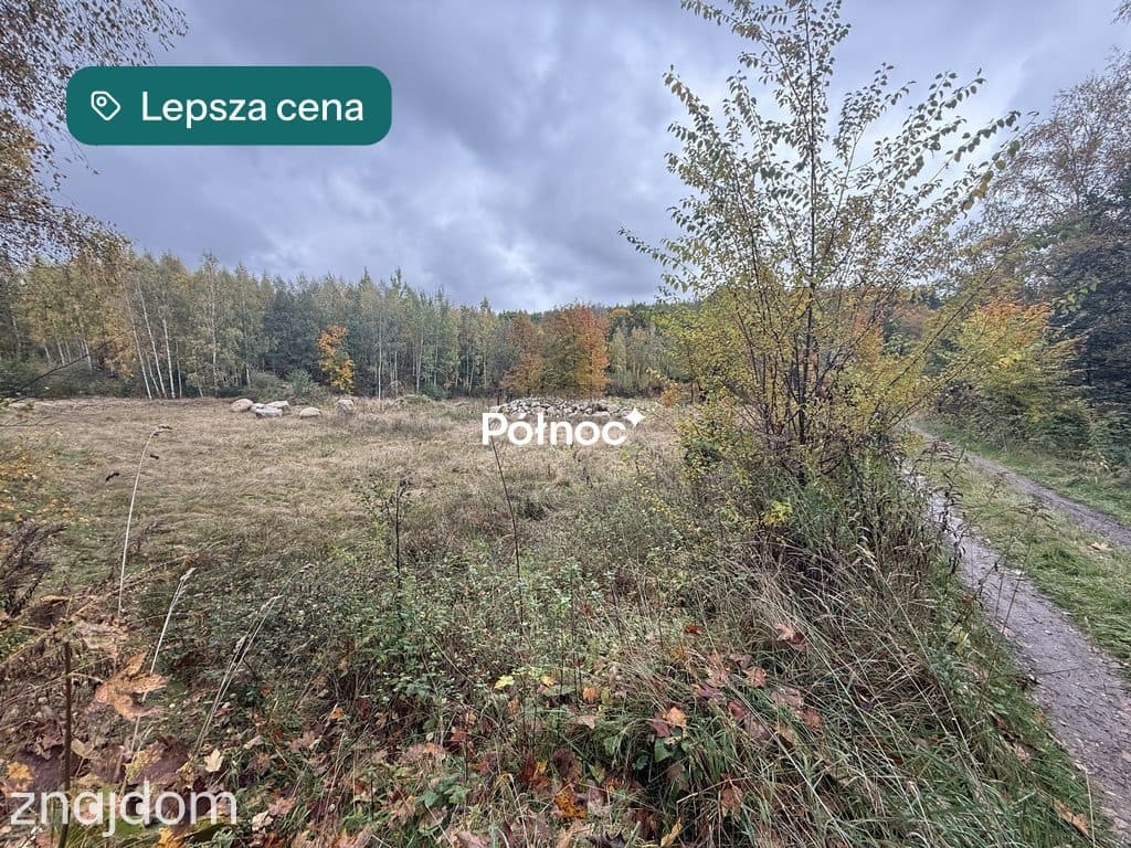 Malownicza działka w Piastowie z miejscem na staw! - zdjęcie 15