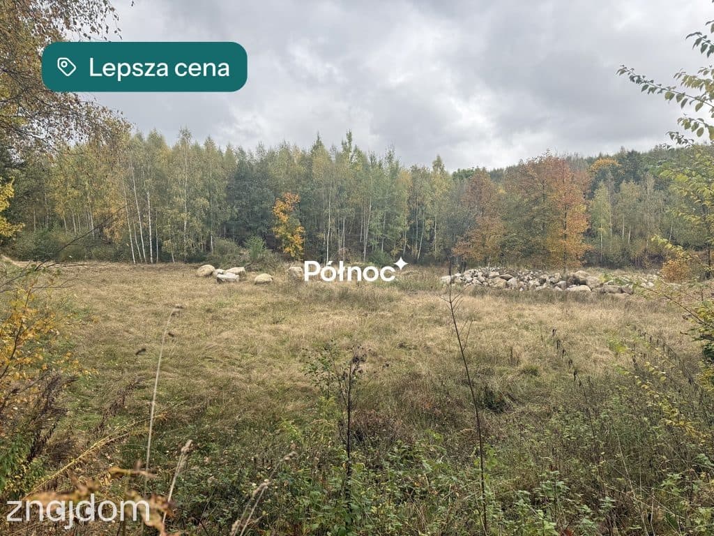 Malownicza działka w Piastowie z miejscem na staw! - zdjęcie 16