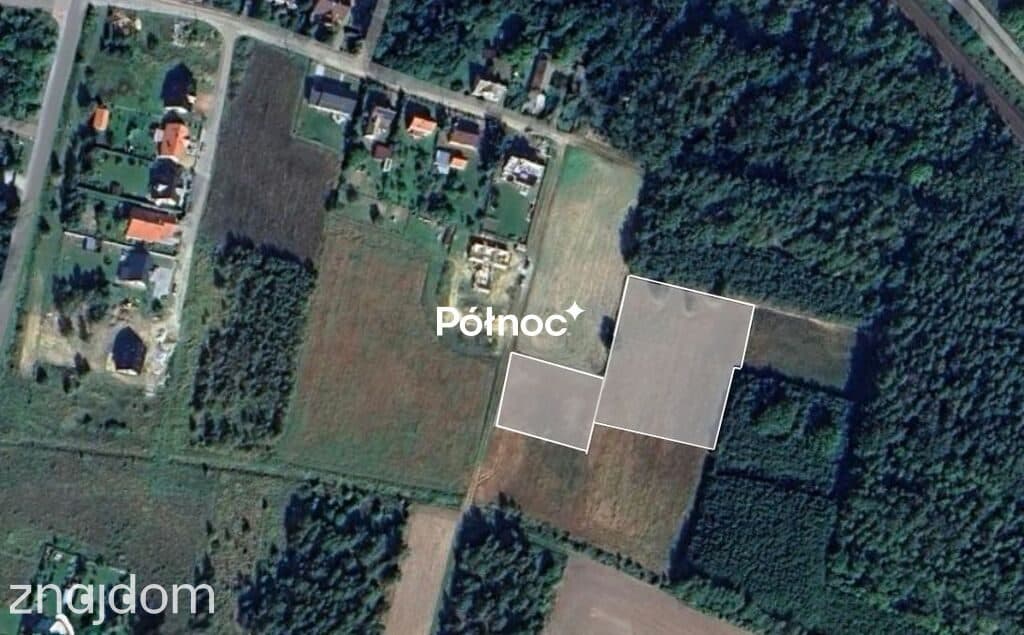DZIAŁKI PRZY LESIE - zdjęcie 2