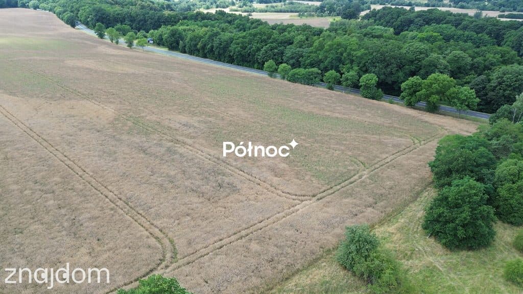 Teren inwestycyjny 2,44 ha -A4 Bolesławiec - zdjęcie 11