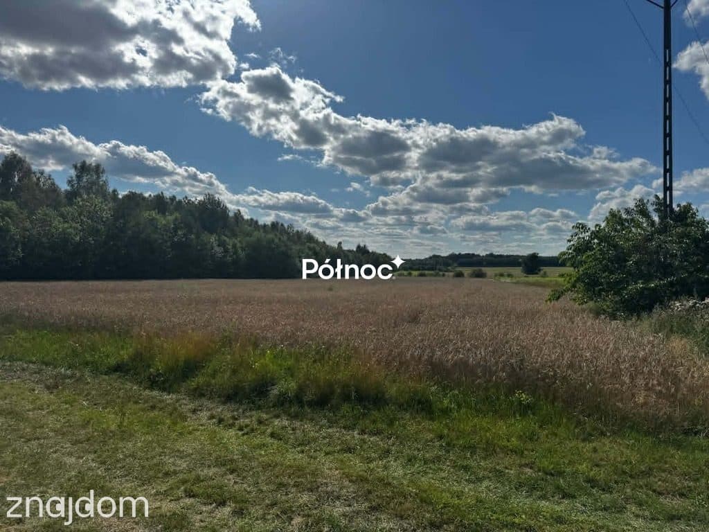 Piękna działka pod zabudowę. Bedlno gmina Końskie. - zdjęcie 2