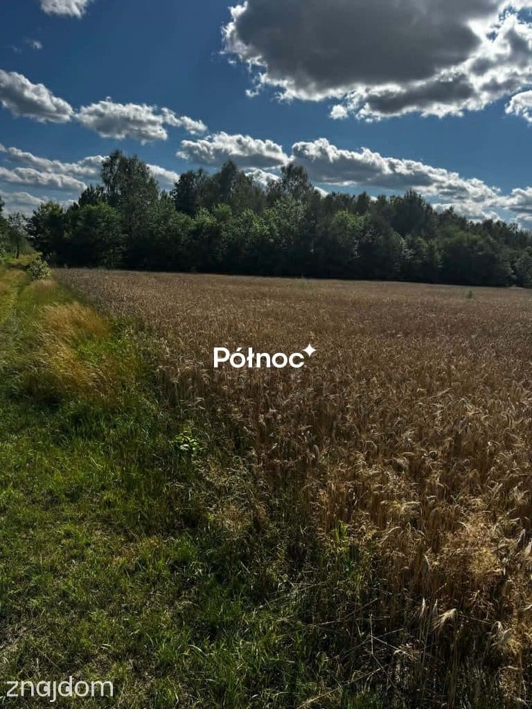 Piękna działka pod zabudowę. Bedlno gmina Końskie. - zdjęcie 4