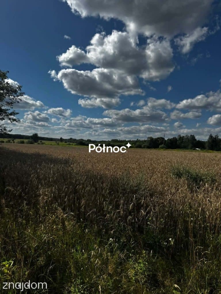 Piękna działka pod zabudowę. Bedlno gmina Końskie. - zdjęcie 3