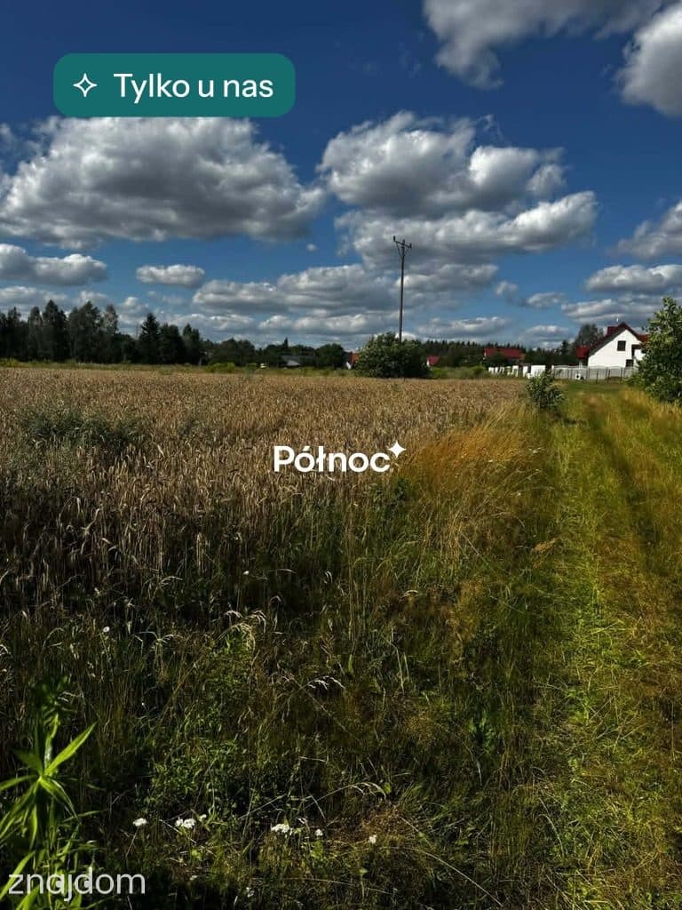 Piękna działka pod zabudowę. Bedlno gmina Końskie.